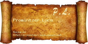 Promintzer Luca névjegykártya